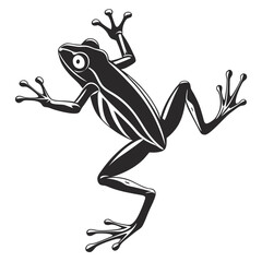 frog on a white background