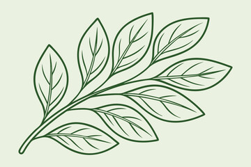 Fototapeta premium Dark green outline of a branch with multiple leaves on a light green background plant nature