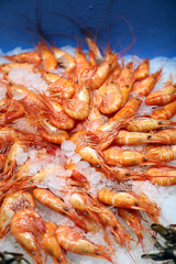 Quisquillas frescas en el mostrador del mercado