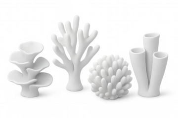 Four different white 3d corals creating an underwater scene, perfect for marine-themed projects with transparent background