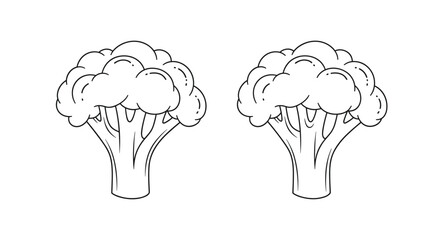 Two illustrative drawings of fresh broccoli florets isolated on a white background