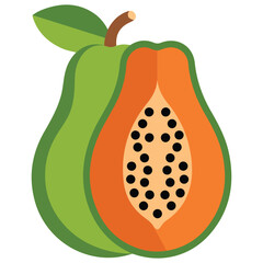 Tropical papaya fruit icon on white background isolated vector illustration