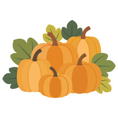 Autumn pumpkins seasonal flowers vector illustration festive decorations greeting cards