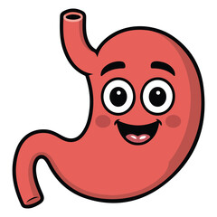 Okay stomach character cartoon mascot isolated vector illustration on white background