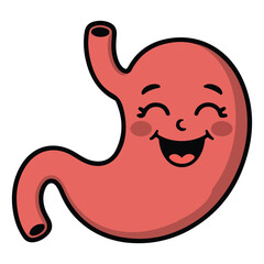 Healthy stomach character cartoon mascot isolated vector illustration on white