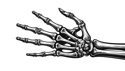 Detailed anatomical drawing of a skeletal hand and forearm