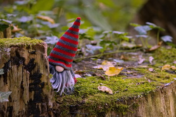 Weihnachtswichtel - Wichtel