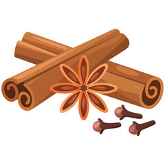 Cinnamon sticks and star anise spice elements vector illustration on white