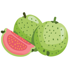 Fresh guava fruit shown whole and cut in half isolated vector illustration on white background