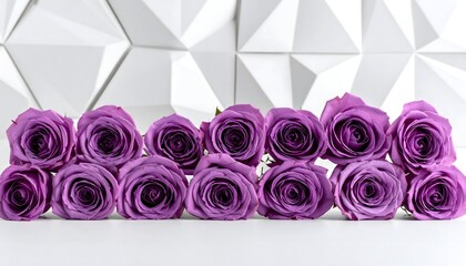 purple roses are arranged in a row on a white surface