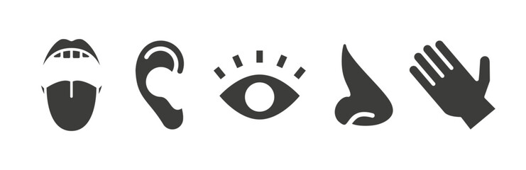 five human senses icons, smell hearing touch taste sight icon set, nose, eye, simple symbols, hand, ear, mouth flat vector illustration, outline editable stroke images