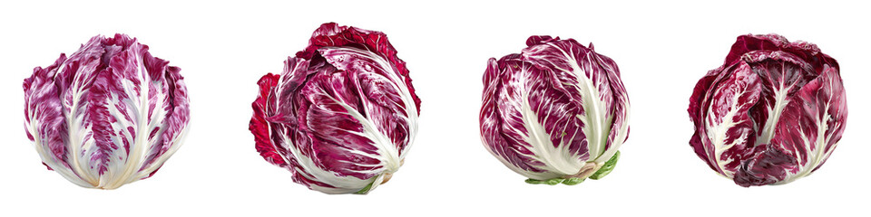 Obraz premium Four Vibrant Heads of Radicchio with White Veining isolated on transparent background.