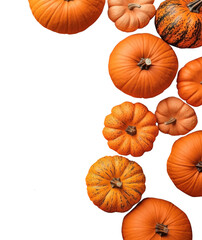 PNG Halloween background with pumpkins spider decorations halloween.