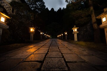 Fototapeta premium Illuminated stone path in Japanese garden at night.