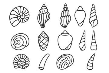 Exotic Shell Icons. Line style icons of exotic shells: nautilus shell, triton shell, harp shell, volute shell; sundial shell, cone