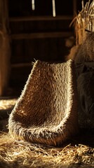 Woven Straw Chair in Rustic Barn Interior with Golden Sunlight and Straw Bales