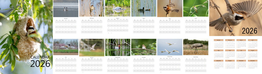 2026 Calendar For Printing In A3 Format With Bird Images