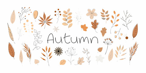 Hand drawn autumn leaves and floral elements in warm earthy tones with the word autumn
