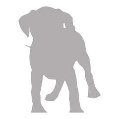 A large dog standing with its head turned to the side silhouette