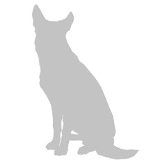 Light gray german shepherd dog sitting silhouette