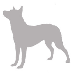 Grey silhouette of a standing dog against a black background silhouette