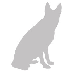 Sitting german shepherd dog silhouette on black background