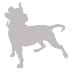 Chihuahua dog standing and barking silhouette