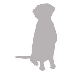 Obraz premium Sitting dog silhouette against black background