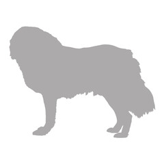 Long haired dog silhouette standing profile