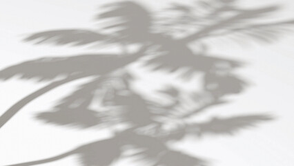 Abstract shadow palm tree on wind sunshine background