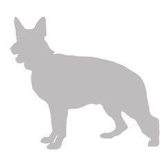 German shepherd dog standing silhouette
