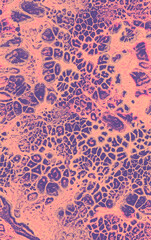 Bubbled abstract seamless texture in pink tones in liquid pouring style. Luxury contemporary art gentle fluid acrylic texture for apparel, bedding, package, home decor.