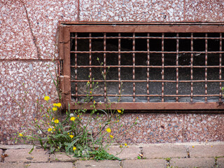Vergittertes Kellerfenster