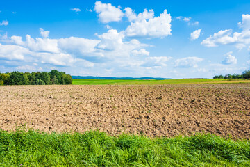 Green farming landscape in summer season, Roztocze region, Poland