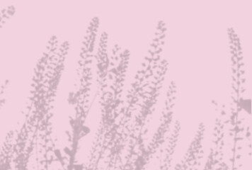 Natural light casts shadows from the field grass on a pink sheet of paper. Mockup