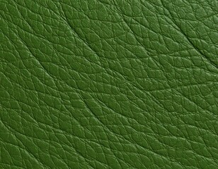 Close-up view of textured green leather