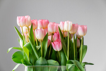 Stillleben, Detailansicht von rosafarbenen und weißen Tulpen in einem Strauß