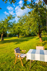 Table and chair in apple orchard on sunny summer day, Roztocze region, Poland