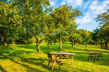 Tables with chairs in apple orchard on sunny summer day, Roztocze region, Poland