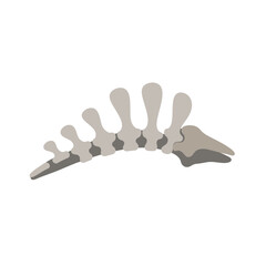 Whale bone structure in a minimalist style isolated on transparent background