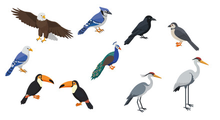 Obraz premium Diverse birds collection in colorful cartoon style for nature and wildlife enthusiasts