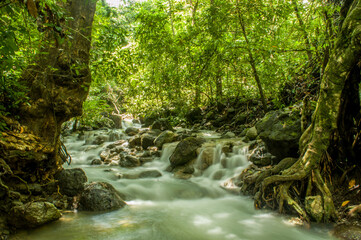 Fototapeta premium Green river water in Watuondo waterfall is derived from the green algae