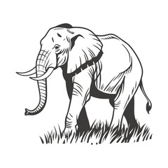 a highly detailed elephant silhouette with realist vector illustration