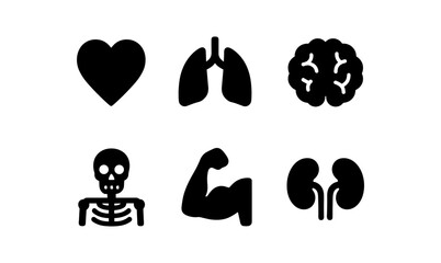 Set of medical icons: heart, lungs, brain, skeleton, muscle, kidneys in silhouette style