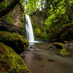 Cascading waterfall in lush green forest