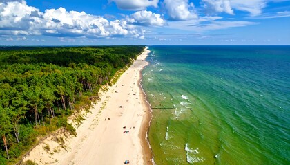 Coastal Beach Aerial View (1)
