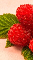 Close-up of fresh raspberries with leaves on a light pink surface
