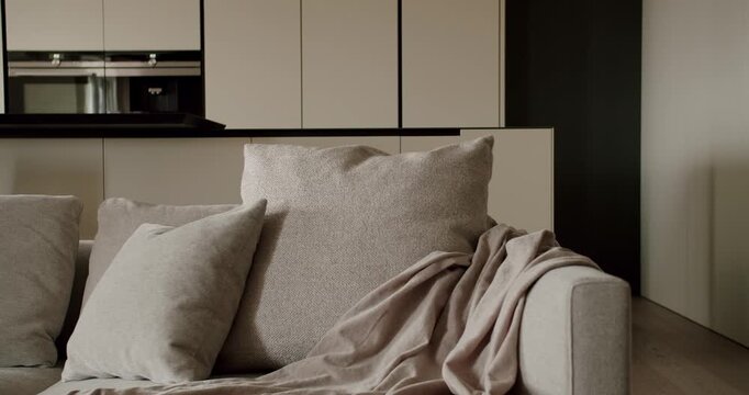 A minimalist modern living room featuring a stylish sofa with plush cushions and a soft throw blanket, set against a sleek kitchen backdrop. Elegant Modern Living Room With Stylish Sofa and Cushions