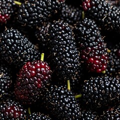 Close-up view of many dark purple mulberries