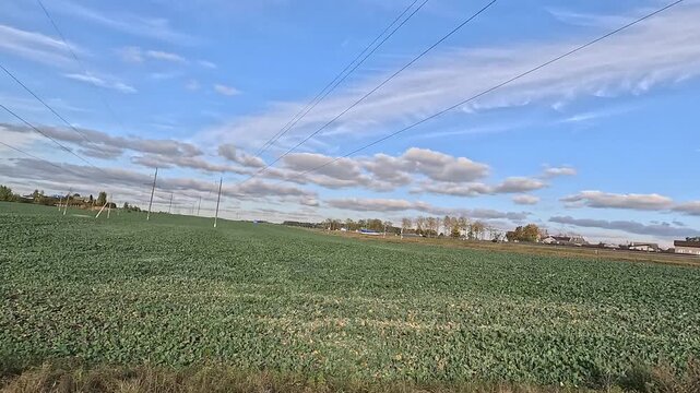 View from the car window to the side of the road, green forest and trees on a summer or autumn day